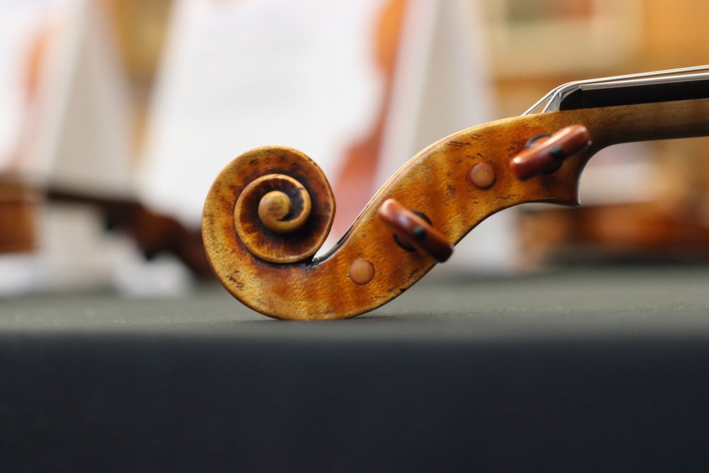 Guarneri fest